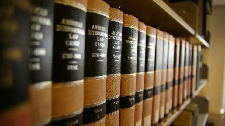 Polski Adwokat Chicago | KS Law Group