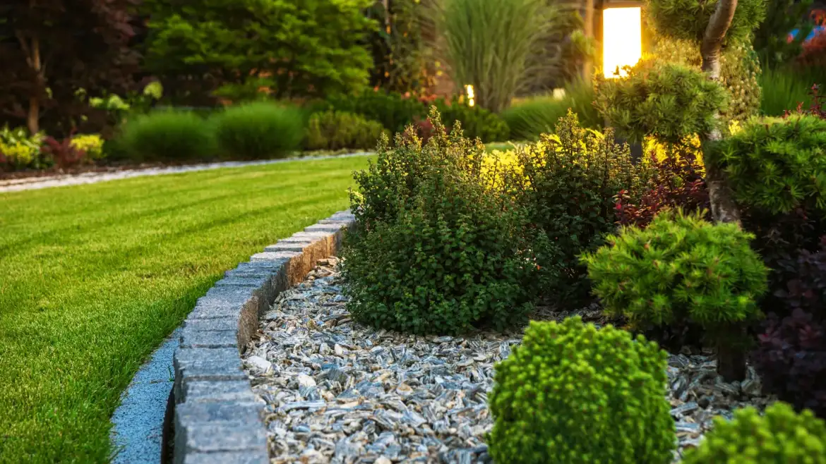 Creating a Beautiful Yard in Wake Forest