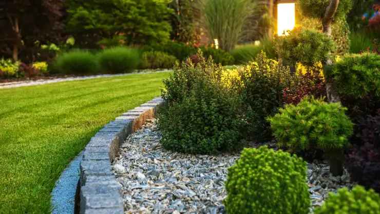 Creating a Beautiful Yard in Wake Forest