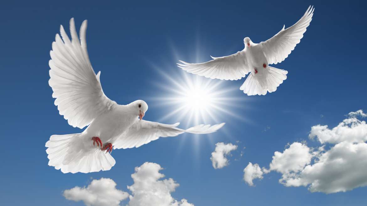 Adding Symbolic Beauty to Life’s Milestones: Dove Releases in Gary